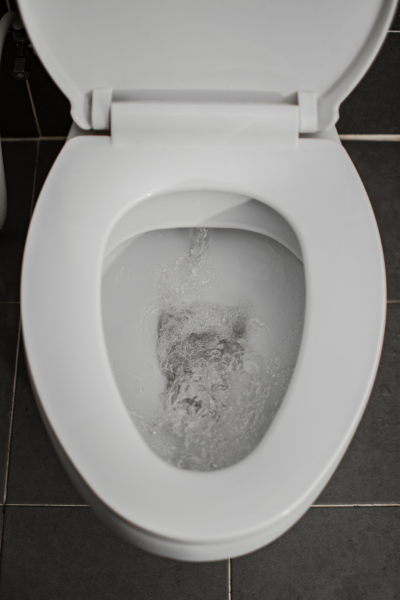 Picture toilet clogged drain cleaning sewer clearing york sc lake wylie fort mill sc gastonia belmont charlotte nc